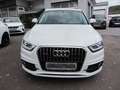 Audi Q3 2.0 TDI quattro  S-Line Xenon Navig Sitzh PDC Weiß - thumbnail 3