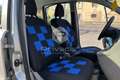 Fiat Panda Panda 1.2 Dualogic Argento - thumbnail 15