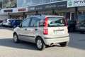 Fiat Panda Panda 1.2 Dualogic Argento - thumbnail 7