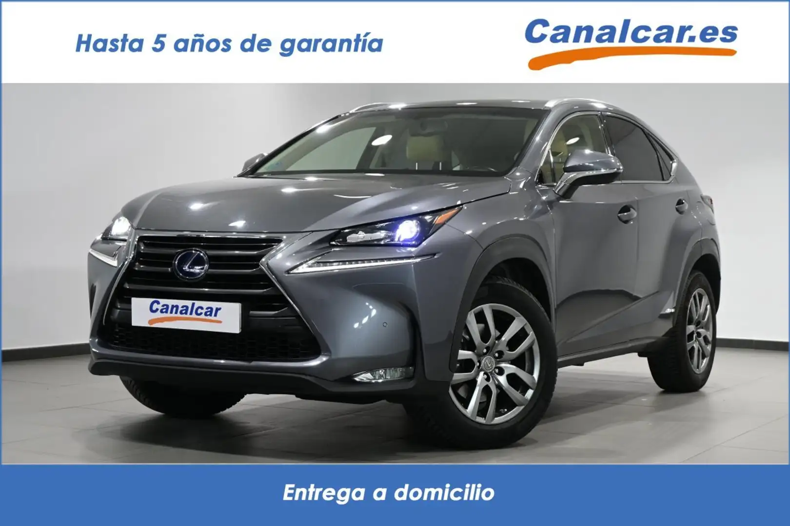 Lexus NX 300 300h Executive 4WD Šedá - 1