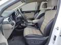 Kia Sorento 2,2 CRDi SCR AWD Platin Aut. Weiß - thumbnail 8