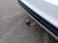 Kia Sorento 2,2 CRDi SCR AWD Platin Aut. Weiß - thumbnail 7