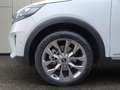 Kia Sorento 2,2 CRDi SCR AWD Platin Aut. Weiß - thumbnail 6