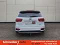 Kia Sorento 2,2 CRDi SCR AWD Platin Aut. Weiß - thumbnail 4