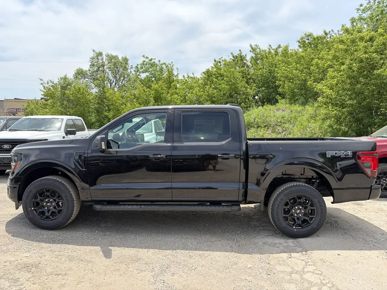Ford F 150 снимка Ford F 150