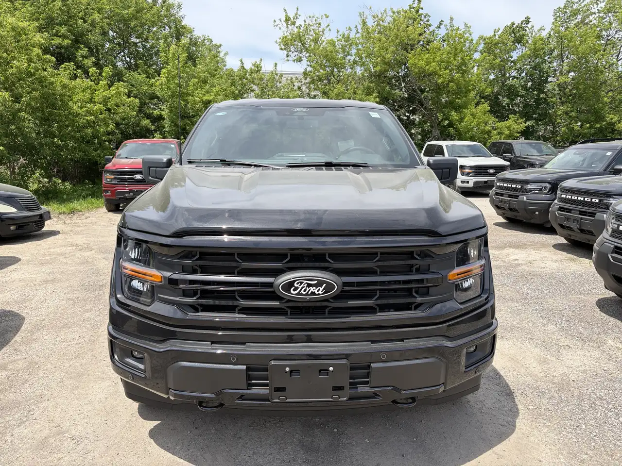Ford F 150 снимка Ford F 150