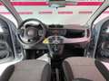 Fiat Panda Panda 0.9 TwinAir Turbo Natural Power Lounge Grigio - thumbnail 6