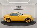 Mercedes-Benz SLK 320 3.2 Liter "Special Edition"KLIMA*SITZHZ* Gelb - thumbnail 5