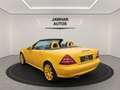 Mercedes-Benz SLK 320 3.2 Liter "Special Edition"KLIMA*SITZHZ* Gelb - thumbnail 6