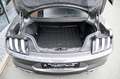 Ford Mustang 5.0 Ti-VCT V8 GT Aut Spoiler* Shelby 20 Gris - thumbnail 9