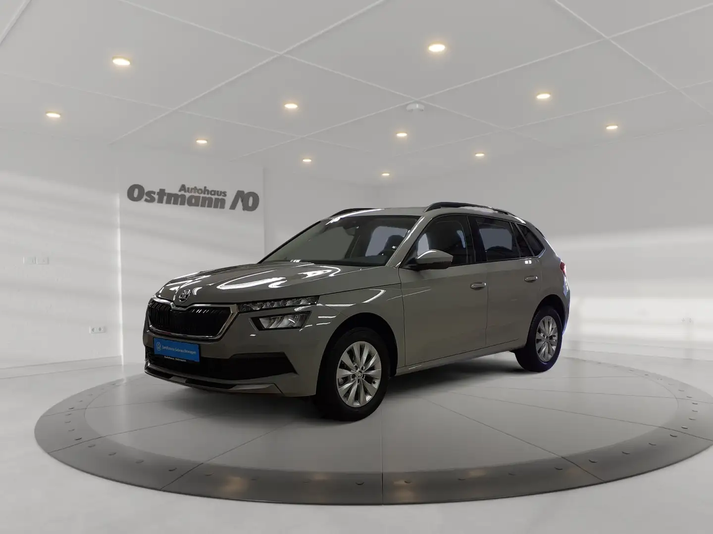 Skoda Kamiq 1.0TSI Ambition *LED*Navi*Smart-Link* Gris - 1