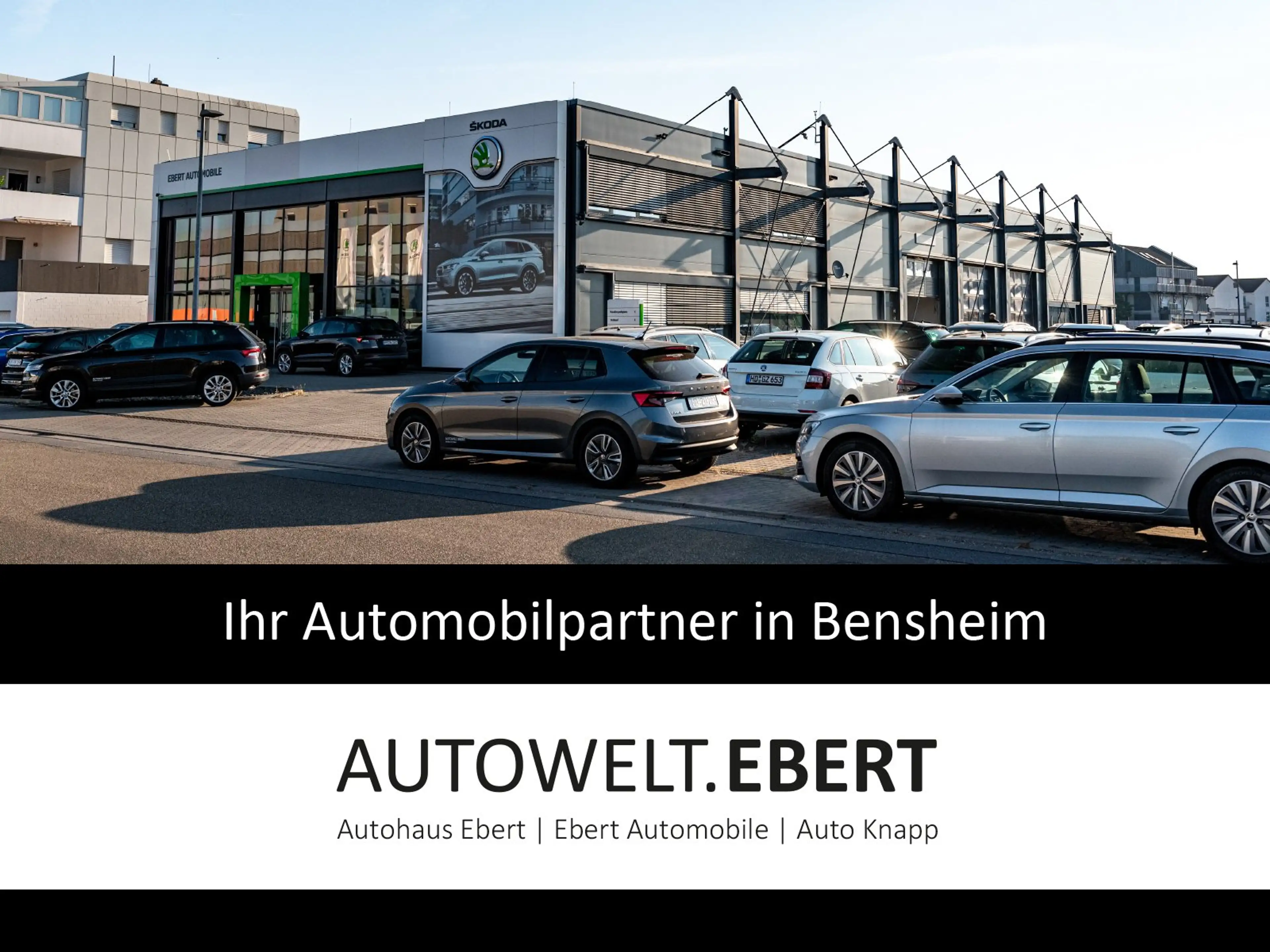 Skoda Superb Combi 2.0 TSI Style/AHK/KAMERA/ACC/LED/ — photo 9