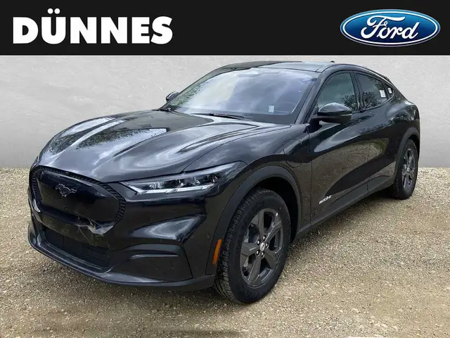 Ford Mustang Mach-E view 10