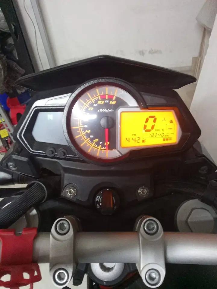 Benelli BN 251