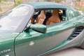 Lotus Elise 111R Grün - thumbnail 26