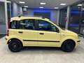 Fiat Panda Panda II  1.2 Alessi Giallo - thumbnail 6