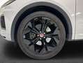 Jaguar E-Pace P200 AWD R-Dynamic SE Grau - thumbnail 9