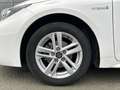 Suzuki Swace Comfort + 1.8 Hybrid SHZ LED Kamera Lenkradheizung Weiß - thumbnail 6