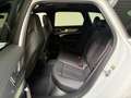 Audi RS6 RS 6 Avant 4.0 TFSI QUATTRO*H&R*PANO*SCHALE* Wit - thumbnail 10