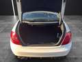 Mercedes-Benz CL 65 AMG CL 65 AMG Weiß - thumbnail 16