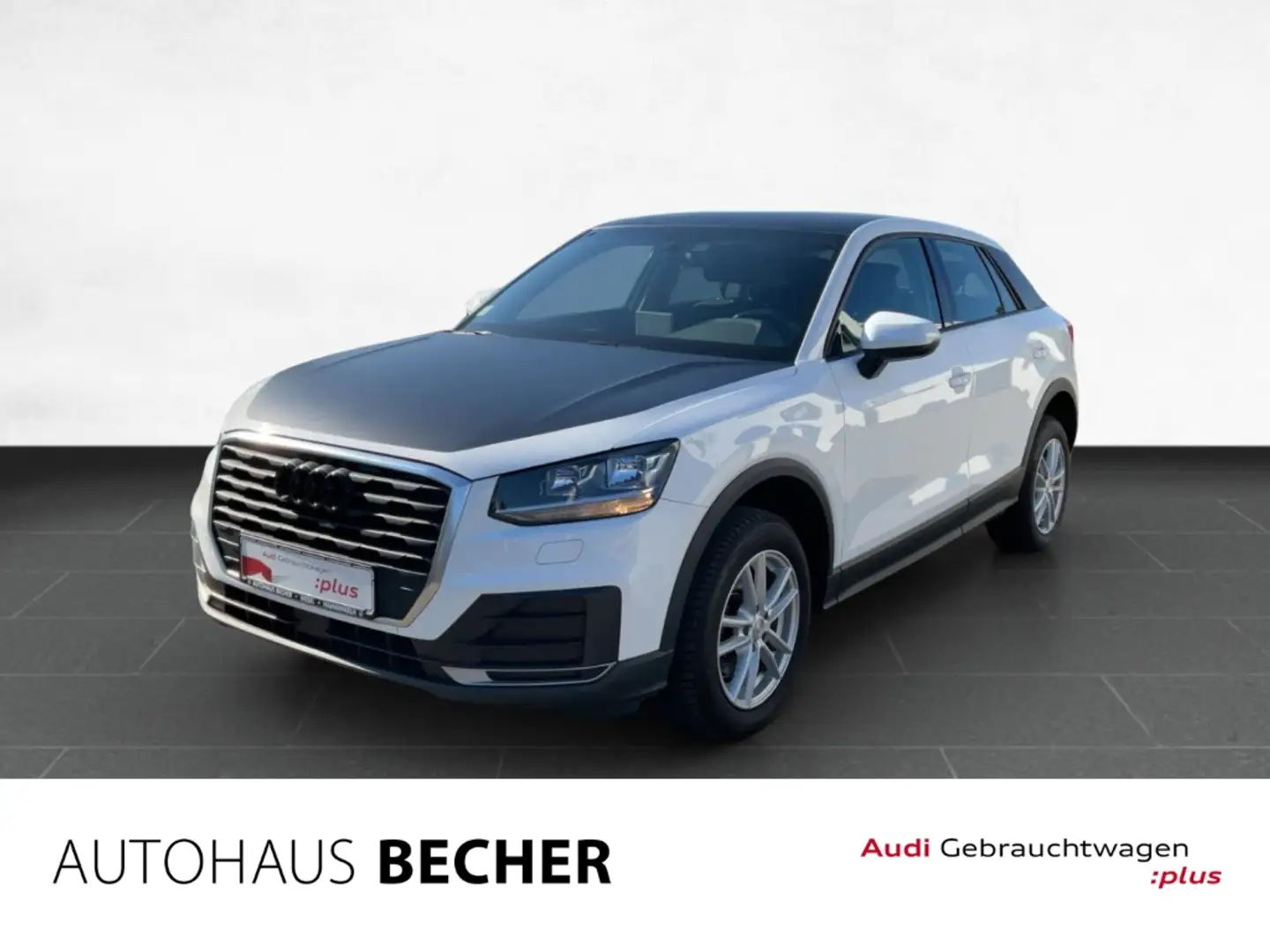 Audi Q2 1.0 TFSI 6-Gang /Bluetooth/Klima/Licht+Regensensor Bílá - 1