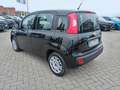 Fiat Panda 1.0 FireFly S&S Hybrid Nero - thumbnail 7