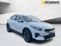 Kia XCeed 1.6 Spirit LED+Navi+SHZ+2xKlima+Kam.+LM Weiß - thumbnail 6