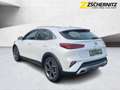 Kia XCeed 1.6 Spirit LED+Navi+SHZ+2xKlima+Kam.+LM Weiß - thumbnail 3