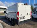 Citroen Jumper Kasten 30 L2H1 Control BlueHDi 140 Start& - thumbnail 7