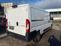 Citroen Jumper Kasten 30 L2H1 Control BlueHDi 140 Start& - thumbnail 6