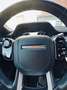 Land Rover Range Rover Evoque Land Rover Range Rover Evoque R-Dynamic S Braun - thumbnail 6
