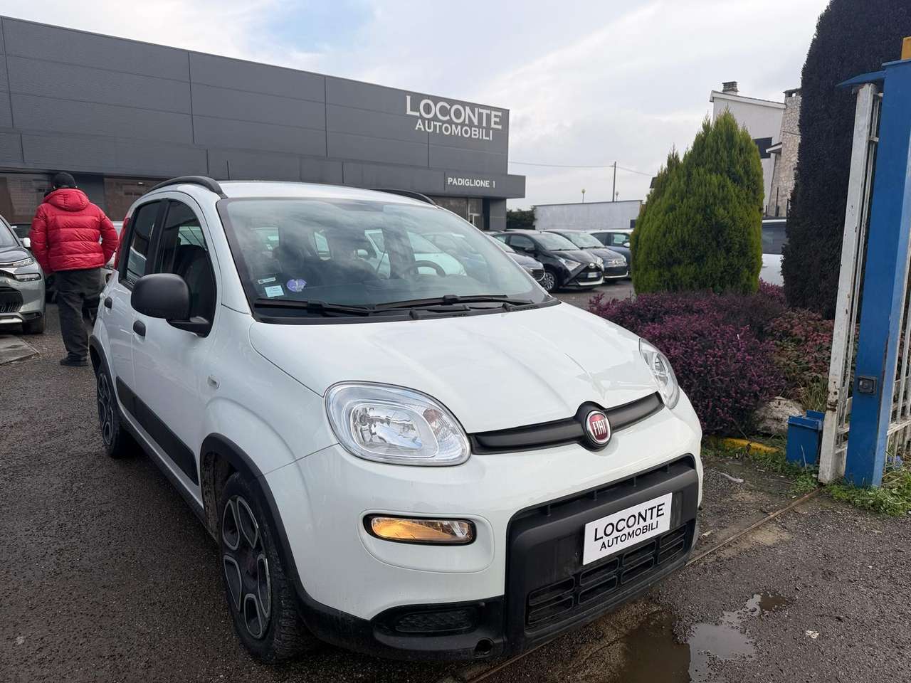 Fiat Panda 1.0 hybrid Easy Connect s