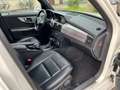 Mercedes-Benz GLK 250 GLK CDI 4MATIC*AMG*20ZOLL*LEDER*XENON*F1 Beyaz - thumbnail 10