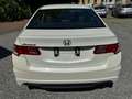 Honda Accord 2.0 Elegance Weiß - thumbnail 6