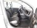 Fiat Panda 1.0 FireFly S&S Hybrid Grigio - thumbnail 10