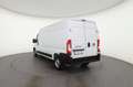 Fiat Ducato 35 Maxi 140 Multijet L3H2 verstärkt PTS Weiß - thumbnail 5