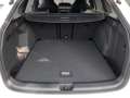 Volkswagen Golf VIII 1.5eTSI R-Line Pano18" Kamera ACC AHK Weiß - thumbnail 9
