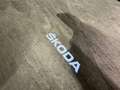 Skoda Karoq Karoq 2,0 TDI SCR 4x4  Ambition - AHK - Abstandst. Grau - thumbnail 14
