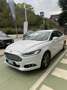 Ford Mondeo Mondeo 2.0 TDCi 150 CV S&S 5 porte Titanium Blanc - thumbnail 3