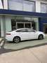 Ford Mondeo Mondeo 2.0 TDCi 150 CV S&S 5 porte Titanium Blanc - thumbnail 4
