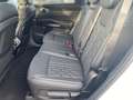 Kia Sorento 2.2D AWD DCT8 Platinum Glasdach Glasdach Bílá - thumbnail 13