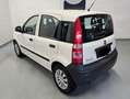 Fiat Panda Panda 1.2 Dynamic Gpl Alb - thumbnail 3