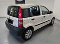 Fiat Panda Panda 1.2 Dynamic Gpl Alb - thumbnail 4