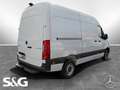 Mercedes-Benz Sprinter 317 CDI Kasten Hochdach Standard Weiß - thumbnail 2