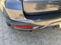 Subaru Forester Trend 30 Jahre Klima AHK Alus TÜV Neu Grey - thumbnail 10