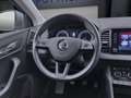 Skoda Karoq 1.0 TSI DRIVE 125 NAVI PDC SITZHZG KLIMA Grau - thumbnail 11
