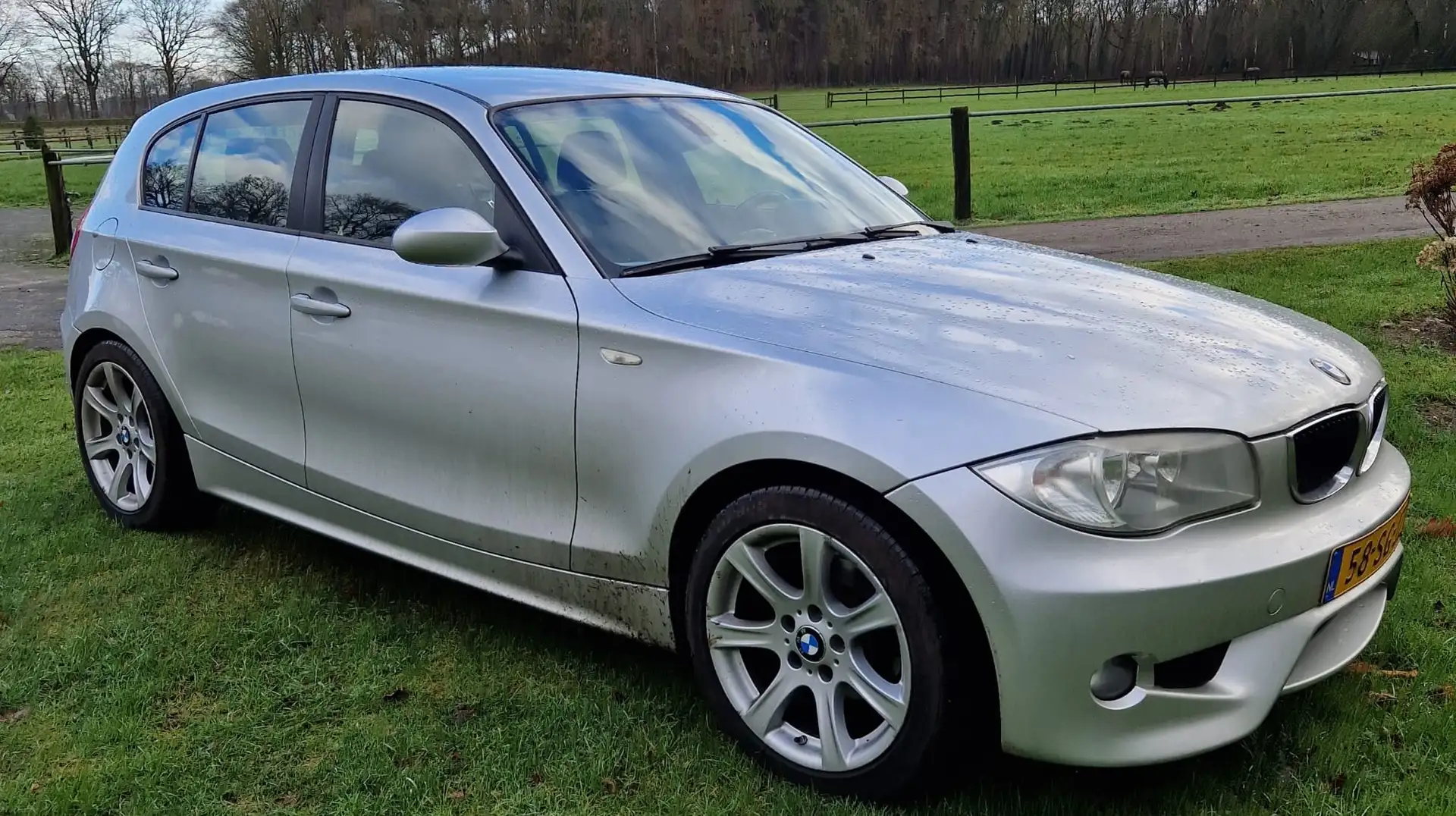 BMW 118 118 118i High Executive Zilver - 2