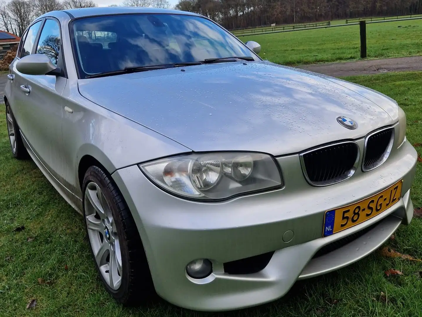BMW 118 118 118i High Executive Zilver - 1