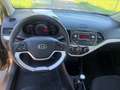 Kia Picanto Attract Braun - thumbnail 11