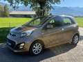 Kia Picanto Attract Braun - thumbnail 3